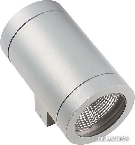 Уличный настенный светильник Lightstar Paro 351619