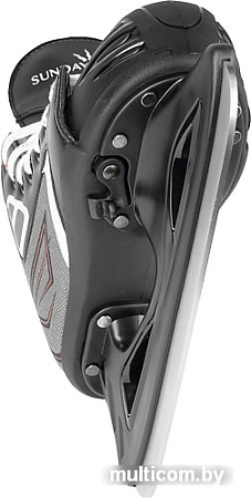 Коньки Sundays Titan PW-230L (р. 36-39)
