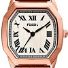 Наручные часы Fossil ES5386