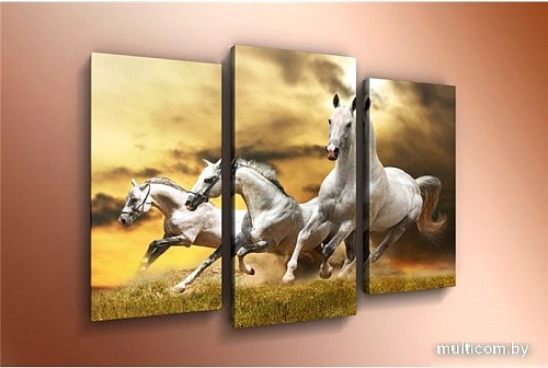 Модульная картина Arthata m-000322 120x80