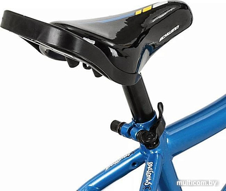Детский велосипед Schwinn Koen 14 2022 S0404RUB (синий)