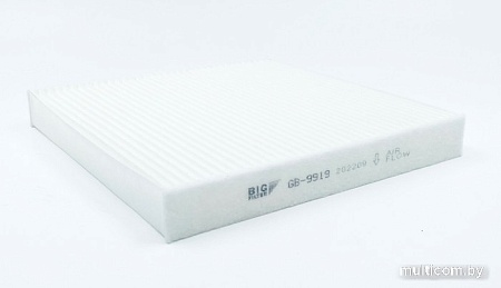 BIG Filter GB-9919