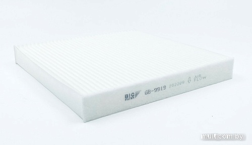 BIG Filter GB-9919