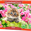 Пазл Castorland Котенок в саду