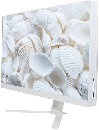 Моноблок Z-Tech Standart-W-i5104-8-0-240-N-H410-000