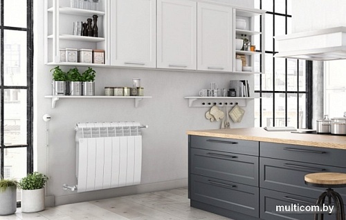 Биметаллический радиатор Royal Thermo BiLiner Bianco 350 (14 секций, с монтажным комплектом и угловыми кранами)