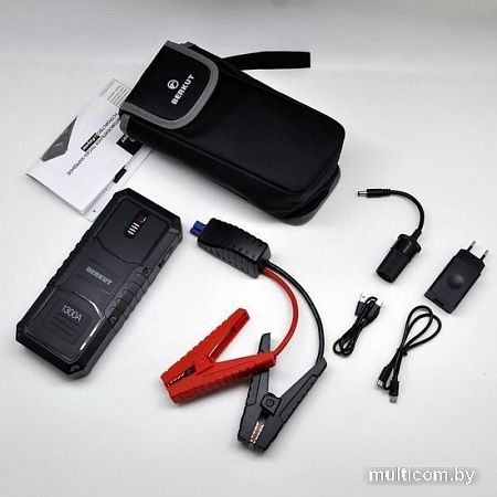 Портативное пусковое устройство Беркут JSL-25000