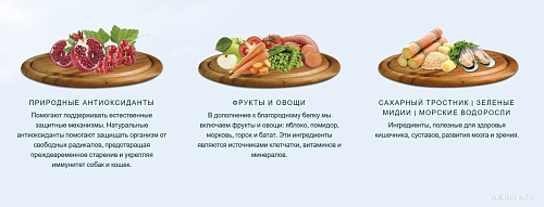 Сухой корм для собак HappyOne Mediterraneum беззерновой со свежим яйцом и свежим мясом птицы 12 кг