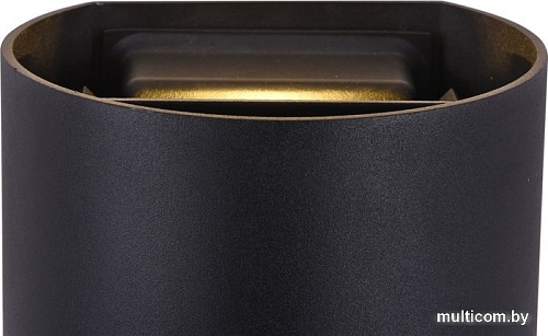 Уличный настенный светильник Maytoni Fulton O573WL-L6B