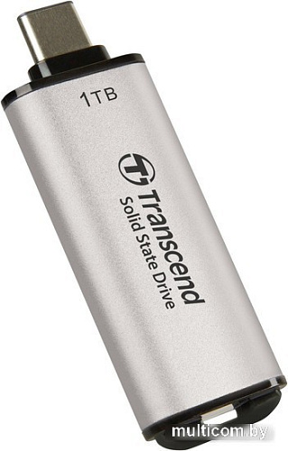 Внешний накопитель Transcend ESD300 1TB TS1TESD300S