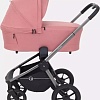 Универсальная коляска Rant Flex Pro RA074 2023 (2 в 1, pink)