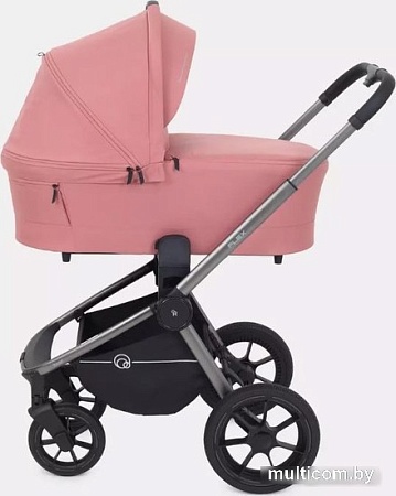 Универсальная коляска Rant Flex Pro RA074 2023 (2 в 1, pink)