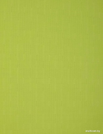 Delfa Сантайм Лен СРШ-01 МЭД2653 (48x160, светло-зеленый)