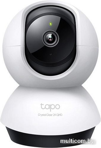 IP-камера TP-Link Tapo C220