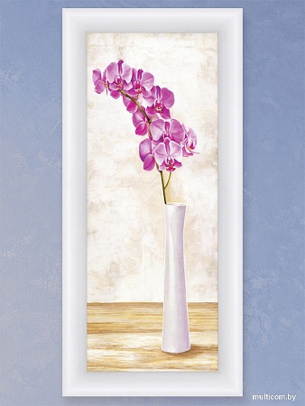 Картина Декарт 8Л0959