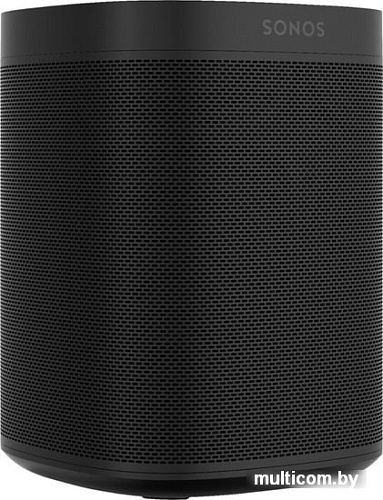 Беспроводная аудиосистема Sonos One SL (черный)