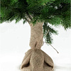 National Tree Company Грация Премиум ГР/ПР-60 60 см