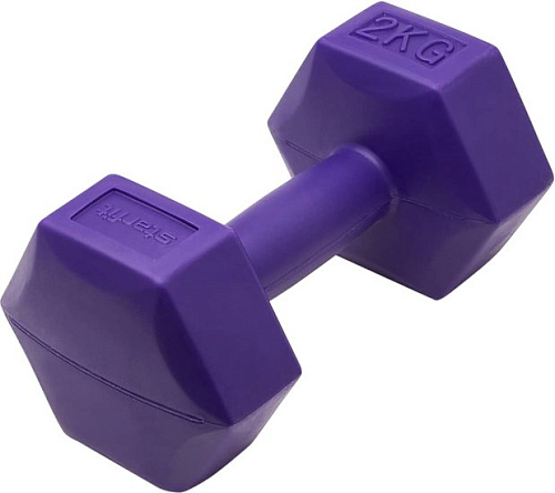 Набор гантелей BaseFit DB-305 2x2 кг (фиолетовый)