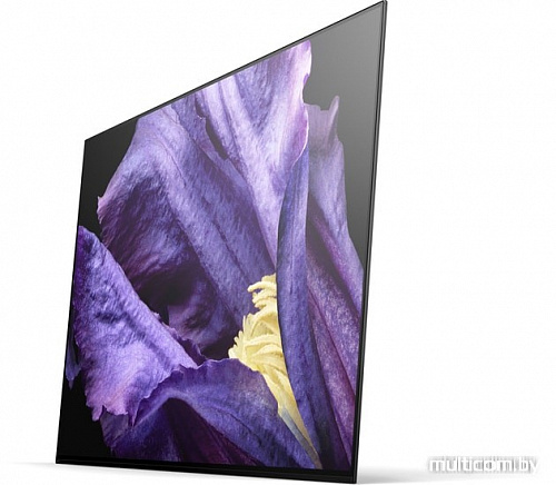 Телевизор Sony KD-65AF9