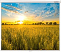 Проекционный экран Lumien Eco Picture 142x200 LEP-100117