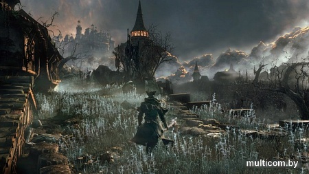 Игра Bloodborne: Порождение крови для PlayStation 4