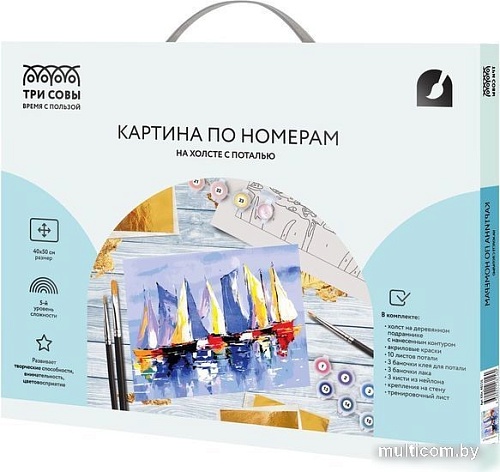 Картина по номерам Три совы Парусники КХп_48156