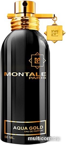 Montale Aqua Gold EdP (50 мл)