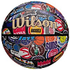 Баскетбольный мяч Wilson NBA All Team Retro WZ4028501XB07 (7 размер)