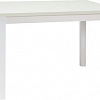 Кухонный стол Signal Adam 100x60 (белый матовый)