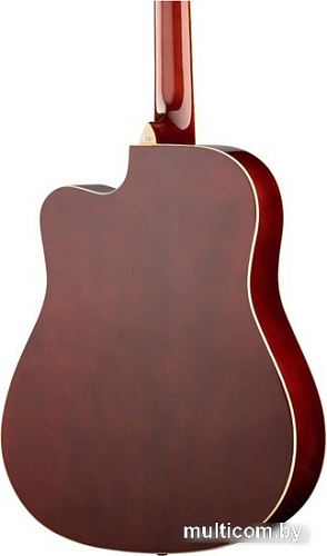 Акустическая гитара Naranda DG120CWRS