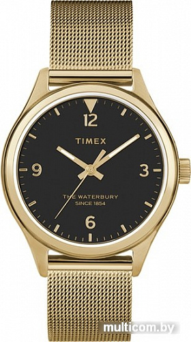 Наручные часы Timex TW2T36400