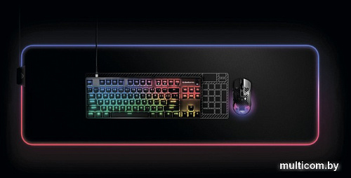 Клавиатура SteelSeries Apex 9 TKL (нет кириллицы)