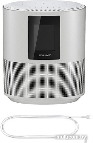 Bose Home Speaker 500 (серебристый)