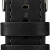 Наручные часы Timex TW2R43600