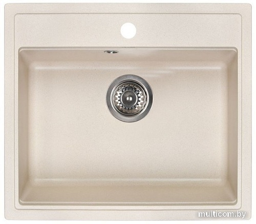 Кухонная мойка Wisent 600-30W (с сифоном GER013)