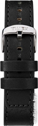 Наручные часы Timex TW2R43600