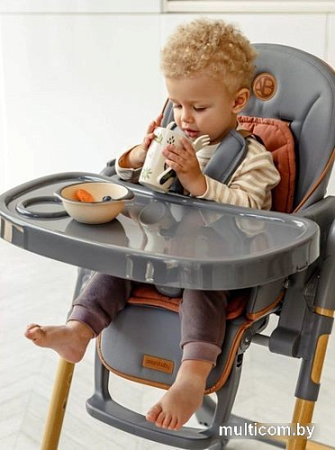 Высокий стульчик Amarobaby Elegant AB23-23EL/11 (серый)