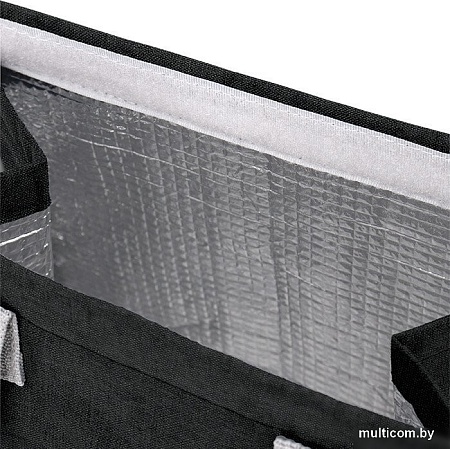 Термосумка Darvish DV-H-2033BK 6л (черный)