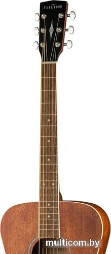 Акустическая гитара Parkwood PF51M-WBAG-OP