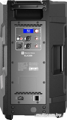 Концертная акустика Electro-Voice ELX200-10P