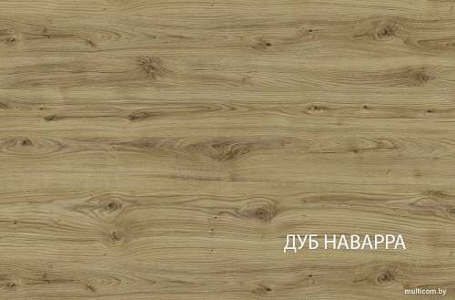 Шкаф распашной Anrex Doorset угловой 1DG (дуб наварра)