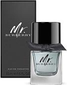 Burberry Mr. Burberry EdT (50 мл)