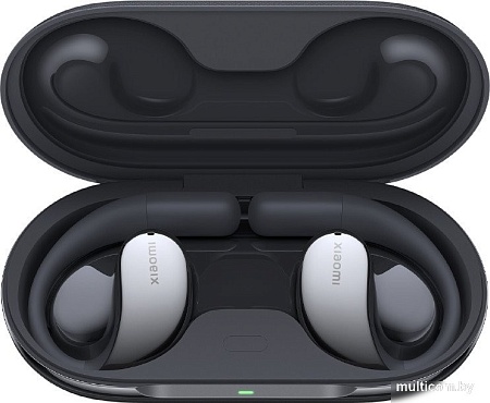 Наушники Xiaomi OpenWear Stereo M2319E1 (черный, китайская версия)