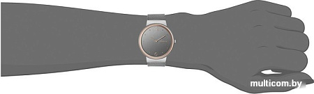 Наручные часы Skagen SKW2382