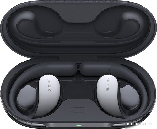 Наушники Xiaomi OpenWear Stereo M2319E1 (черный, китайская версия)