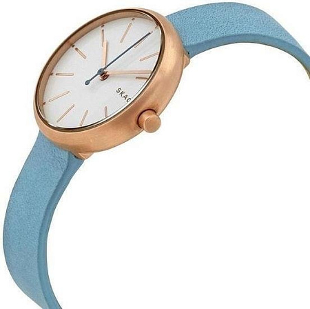 Наручные часы Skagen SKW2621