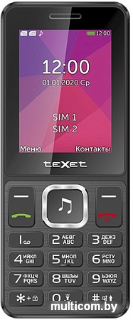 Мобильный телефон TeXet TM-301 (черный)
