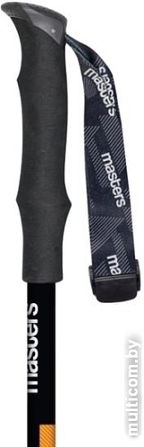 Треккинговые палки Masters Shepra Antishock CSS 01S2519