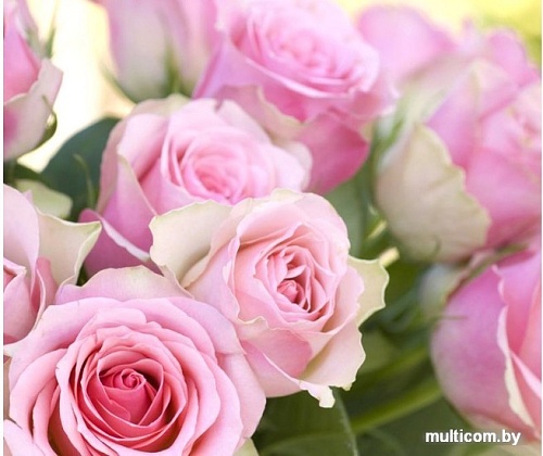 Фотообои Citydecor Розовые розы с защитным покрытием 300x254