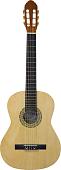 Акустическая гитара Fabio FB3910 N